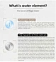water flask
